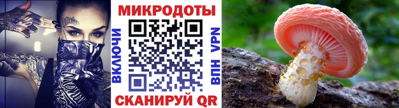Купить где  Гай  Галлюциногенные грибы GOLDEN TEACHER 